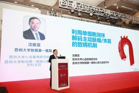 蘇州大學(xué)心血管病研究所所長(zhǎng)、蘇州大學(xué)附屬第一醫(yī)院心臟大血管外科主任沈振亞教授作報(bào)告