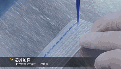 二十三項(xiàng)遺傳性耳聾相關(guān)基因檢測(cè)芯片加樣