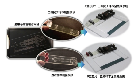 獨創(chuàng)的基于微流控毛細管電泳技術的模塊化集成芯片卡盒